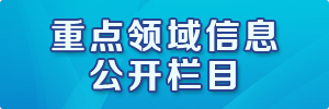 重點領域信息公開