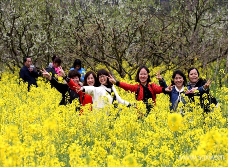 花海吸引無數(shù)游客到來。 張偉 攝.jpg